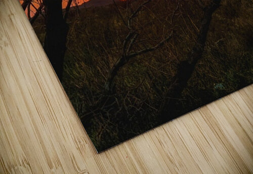 Colors of the Desert Leslie Affeldt Photography puzzle