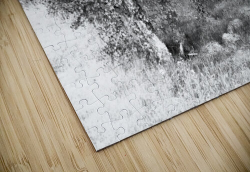 Monochrome Birch Gathering                                                                                                                      Catriona Roberts Nature Photography and Designs puzzle