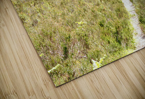 Scottish Heather Trail                                                                                                                       Catriona Roberts Nature Photography and Designs puzzle
