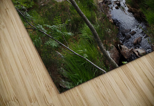 A Wee Burn in the Scottish Highlands                                                                                                                      Catriona Roberts Nature Photography and Designs puzzle