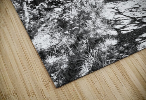 Monochrome Path in the Scottish Highlands                                                                                                                      Catriona Roberts Nature Photography and Designs puzzle