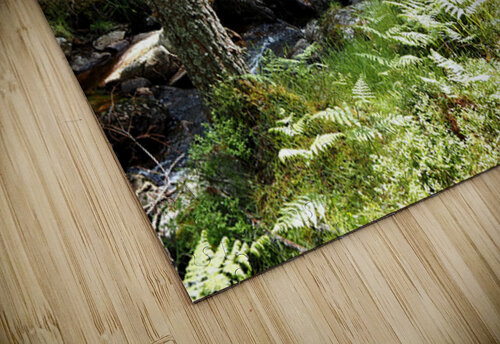  Scottish Highlands Forest Stream                                                                                                                   Catriona Roberts Nature Photography and Designs puzzle
