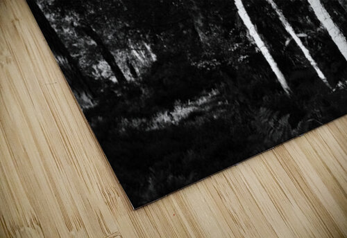 Scottish Highlands Dark Forest Catriona Roberts Nature Photography and Designs puzzle