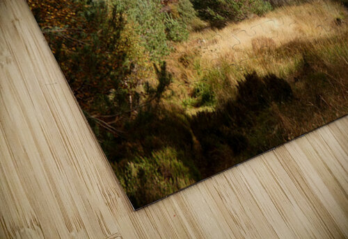 Scottish Highlands Forest View Catriona Roberts Nature Photography and Designs puzzle