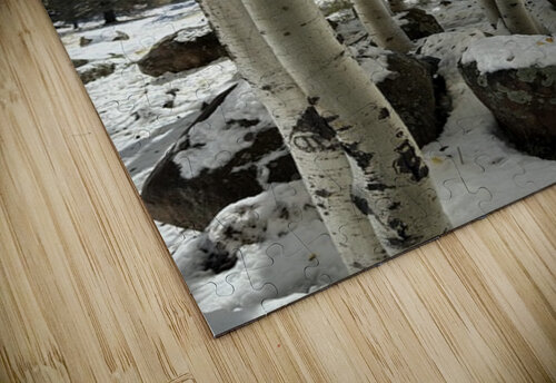 IMG 9853 Leslie Affeldt Photography puzzle