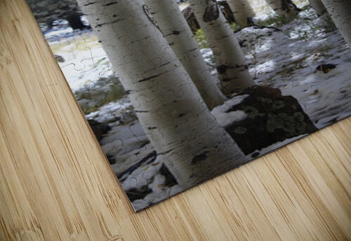 IMG 4713 Leslie Affeldt Photography puzzle