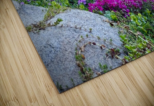 IMG 7780 Leslie Affeldt Photography puzzle