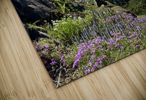 IMG 7790 Leslie Affeldt Photography puzzle