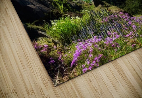 IMG 2604 Leslie Affeldt Photography puzzle