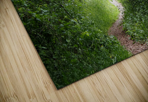 Scottish Highlands Spring Trail                                                                                                                      Catriona Roberts Nature Photography and Designs puzzle