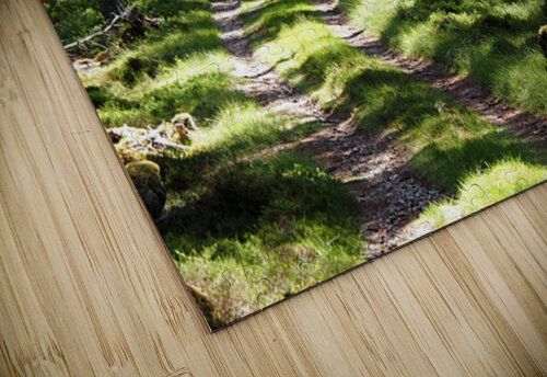  Scottish Highlands Nature Trail                                                                                                                     Catriona Roberts Nature Photography and Designs puzzle