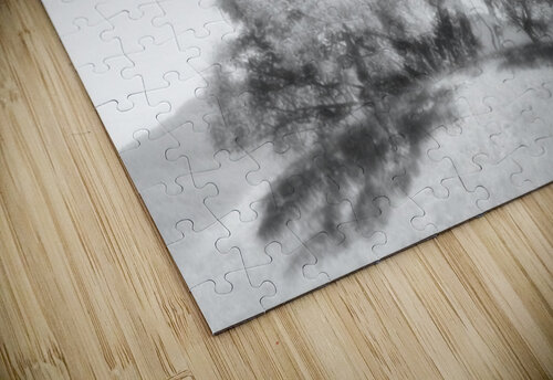 Monochrome Birch Tree Trio Catriona Roberts Nature Photography and Designs puzzle