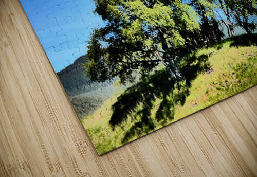 Scottish Highlands Birch Tree Trio Catriona Roberts Nature Photography and Designs puzzle