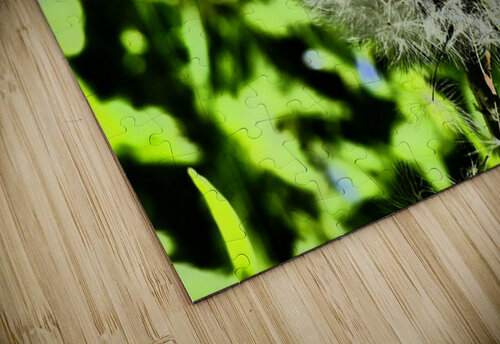 Spring Dandelion Catriona Roberts Nature Photography and Designs puzzle