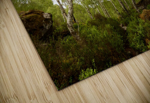 Fairies Spring in the Scottish Highlands  Catriona Roberts Nature Photography and Designs puzzle