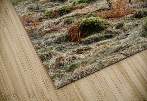 Scottish Highlands Winters Longing Catriona Roberts Nature Photography and Designs puzzle