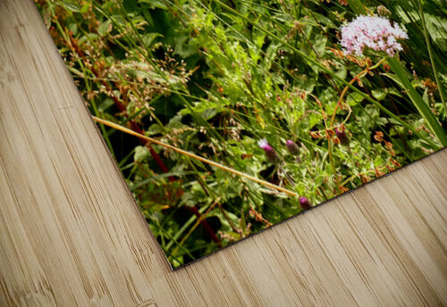 Scottish Highlands Wild Abundance Catriona Roberts Nature Photography and Designs puzzle