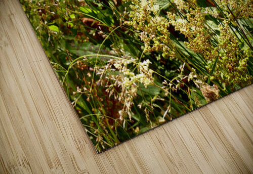 Wild Flowers in the Scottish Highlands Catriona Roberts Nature Photography and Designs puzzle