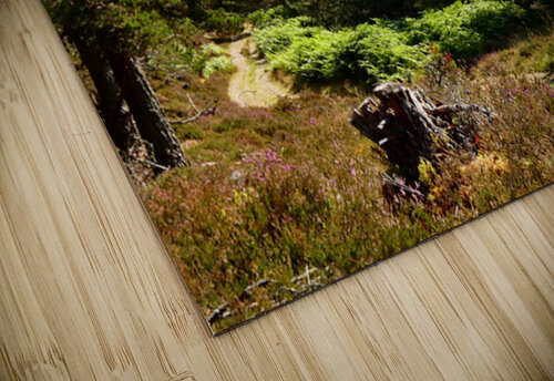 Scottish Highlands Summer Landscape Catriona Roberts Nature Photography and Designs puzzle