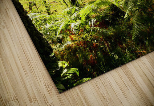 Meadows Sweet in the Scottish Highlands Catriona Roberts Nature Photography and Designs puzzle