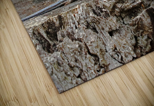 Five Lined Skink And Garter Snake Deb Oppermann puzzle