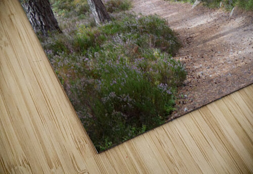 Scottish Highlands Pine and Heather Catriona Roberts Nature Photography and Designs puzzle