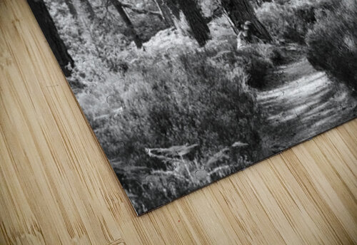 The Trail is Black and White Catriona Roberts Nature Photography and Designs puzzle