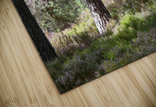 Heather and Pines Catriona Roberts Nature Photography and Designs puzzle