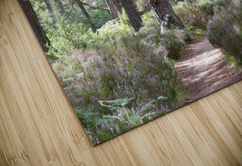 The Trail is Colourful Catriona Roberts Nature Photography and Designs puzzle