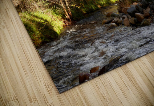 Autumns River in the Scottish Highlands Catriona Roberts Nature Photography and Designs puzzle