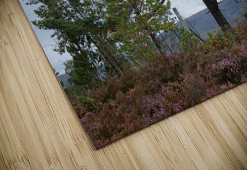 Natures Pine in the Scottish Highlands  Catriona Roberts Nature Photography and Designs puzzle
