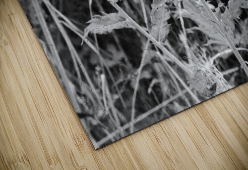 Wild Things in the Scottish Highlands Catriona Roberts Nature Photography and Designs puzzle