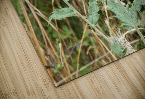 Scotlands Wild Heart Catriona Roberts Nature Photography and Designs puzzle
