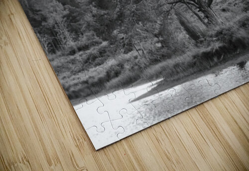 Monochrome Solitary Pine Catriona Roberts Nature Photography and Designs puzzle