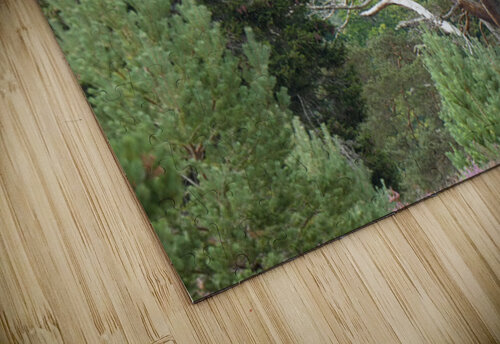 Still Majestic  Catriona Roberts Nature Photography and Designs puzzle