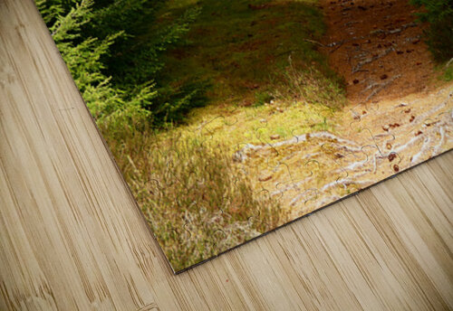 Scottish Highlands Pines Catriona Roberts Nature Photography and Designs puzzle