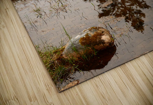 Scottish Highlands Pines Reflections Catriona Roberts Nature Photography and Designs puzzle