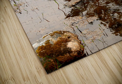Wild Pine Reflection Catriona Roberts Nature Photography and Designs puzzle