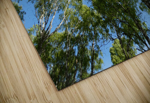 Scottish Highlands Summer Birch Tree Sky Catriona Roberts Nature Photography and Designs puzzle