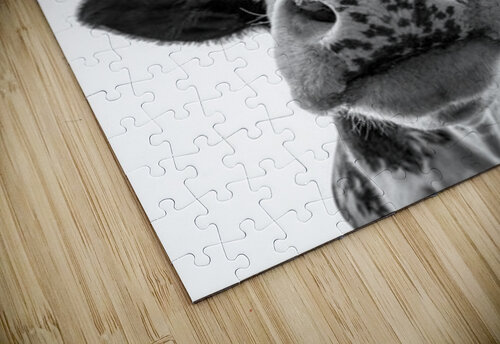Cute Cow Vicky Hanggara puzzle
