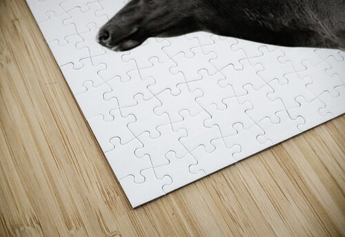 Deer Portrait Vicky Hanggara puzzle