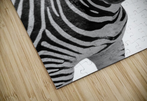 Funny Zebra Vicky Hanggara puzzle
