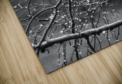 Monochrome Tear Drops Catriona Roberts Nature Photography and Designs puzzle