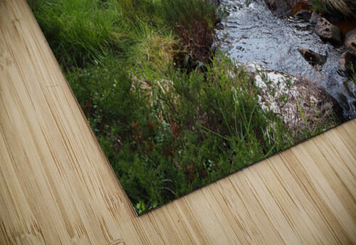 Scottish Highlands Springs Stream                                                                                                                      Catriona Roberts Nature Photography and Designs puzzle