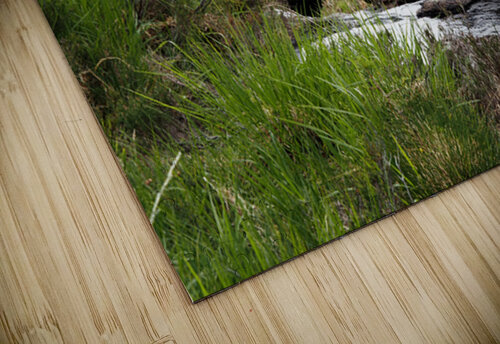 Scottish Highlands Nature  Landscape                                                                                                                      Catriona Roberts Nature Photography and Designs puzzle