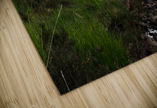  Scottish Highlands Landscape Stream                                                                                                                     Catriona Roberts Nature Photography and Designs puzzle