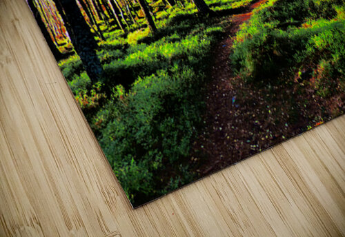 Sunlight Through the Pine Trees  Catriona Roberts Nature Photography and Designs puzzle