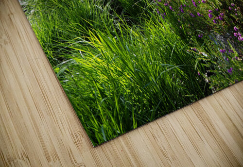 Scottish Highlands Peaceful Vibes                                                                                                                      Catriona Roberts Nature Photography and Designs puzzle