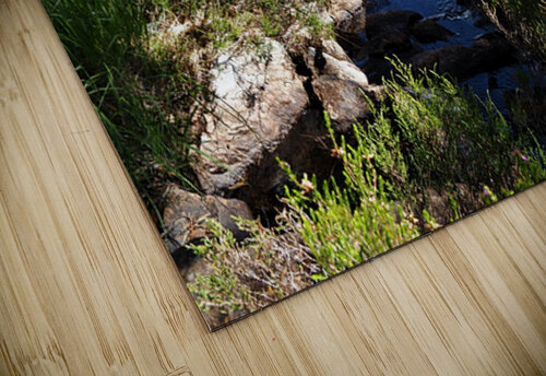 Scottish Highlands Peaceful Vibes                                                                                                                      Catriona Roberts Nature Photography and Designs puzzle