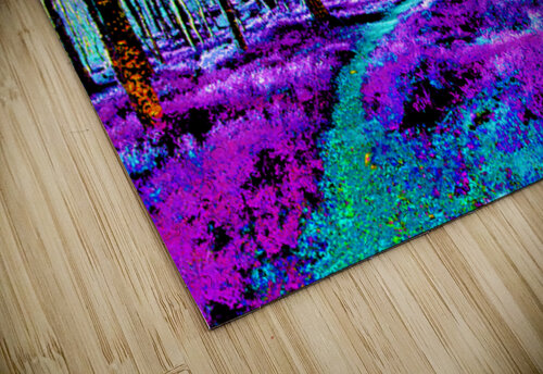 Abstract Sunlight through the Trees Catriona Roberts Nature Photography and Designs puzzle